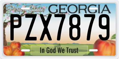 GA license plate PZX7879