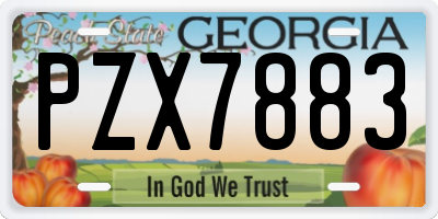 GA license plate PZX7883