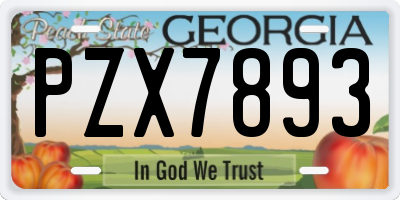 GA license plate PZX7893