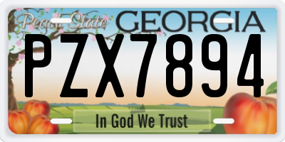 GA license plate PZX7894