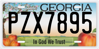 GA license plate PZX7895