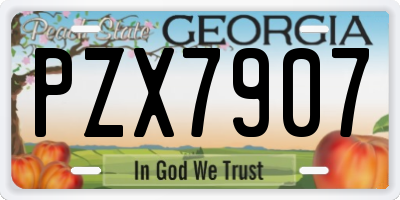 GA license plate PZX7907