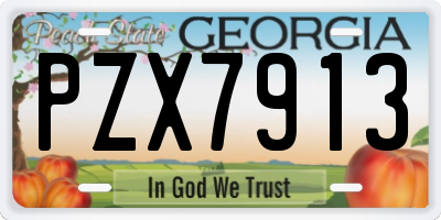 GA license plate PZX7913