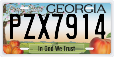 GA license plate PZX7914