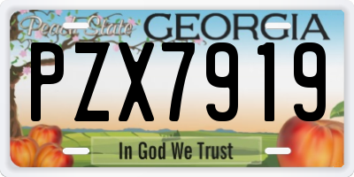 GA license plate PZX7919
