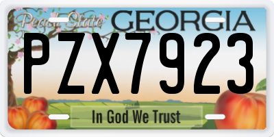GA license plate PZX7923