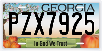GA license plate PZX7925