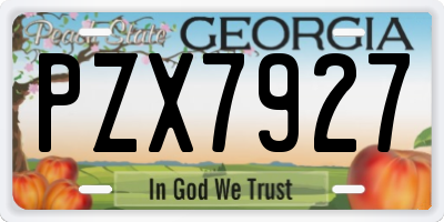 GA license plate PZX7927
