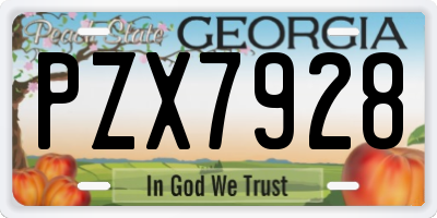 GA license plate PZX7928