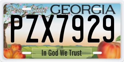 GA license plate PZX7929