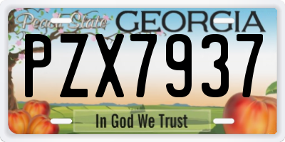 GA license plate PZX7937