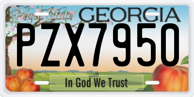 GA license plate PZX7950