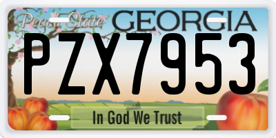 GA license plate PZX7953