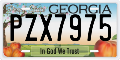 GA license plate PZX7975