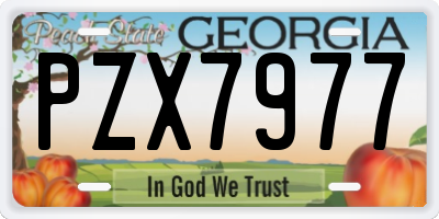 GA license plate PZX7977