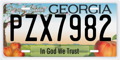 GA license plate PZX7982