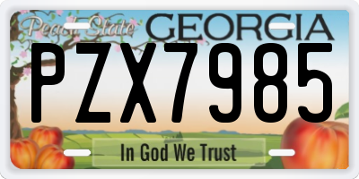 GA license plate PZX7985