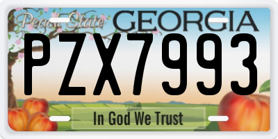 GA license plate PZX7993