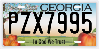 GA license plate PZX7995