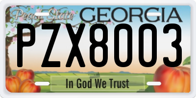 GA license plate PZX8003
