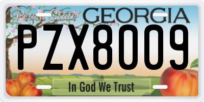 GA license plate PZX8009