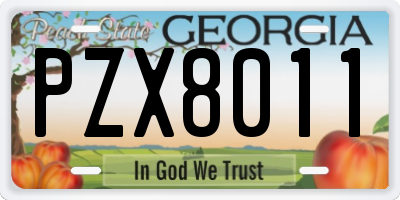 GA license plate PZX8011
