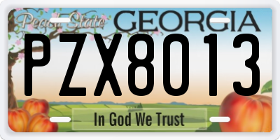 GA license plate PZX8013