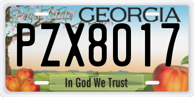 GA license plate PZX8017