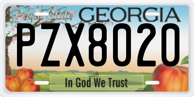 GA license plate PZX8020