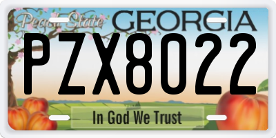GA license plate PZX8022