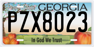 GA license plate PZX8023