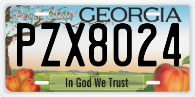 GA license plate PZX8024