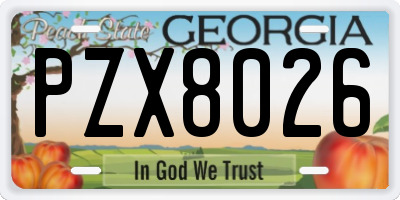 GA license plate PZX8026