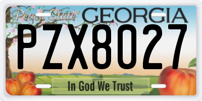 GA license plate PZX8027