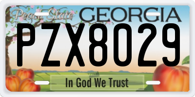 GA license plate PZX8029