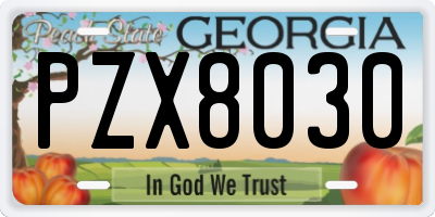 GA license plate PZX8030