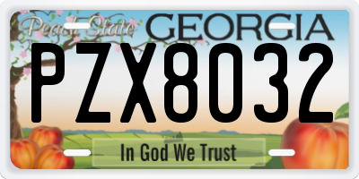 GA license plate PZX8032