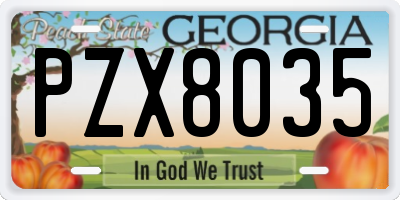 GA license plate PZX8035