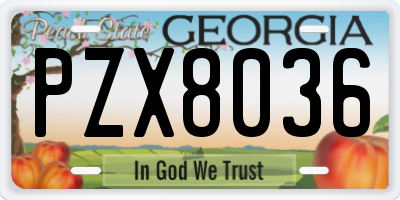 GA license plate PZX8036