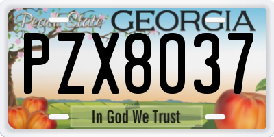 GA license plate PZX8037