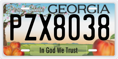 GA license plate PZX8038
