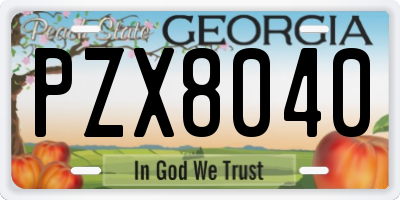 GA license plate PZX8040