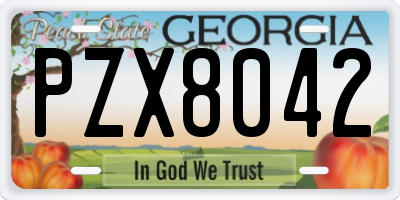GA license plate PZX8042