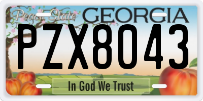 GA license plate PZX8043
