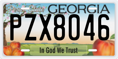 GA license plate PZX8046