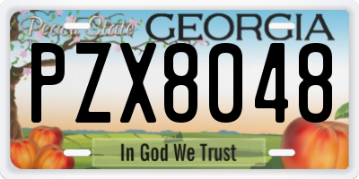 GA license plate PZX8048