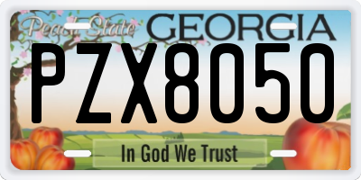 GA license plate PZX8050