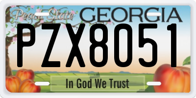 GA license plate PZX8051