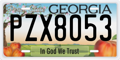GA license plate PZX8053
