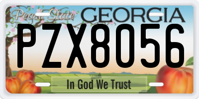 GA license plate PZX8056